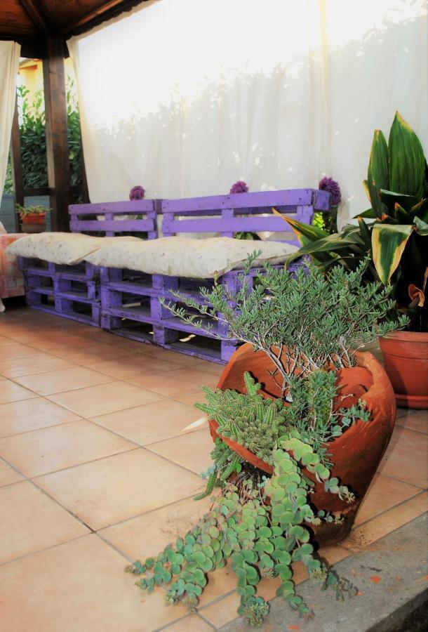 Villino Alle Terme Βιτέρμπο Εξωτερικό φωτογραφία