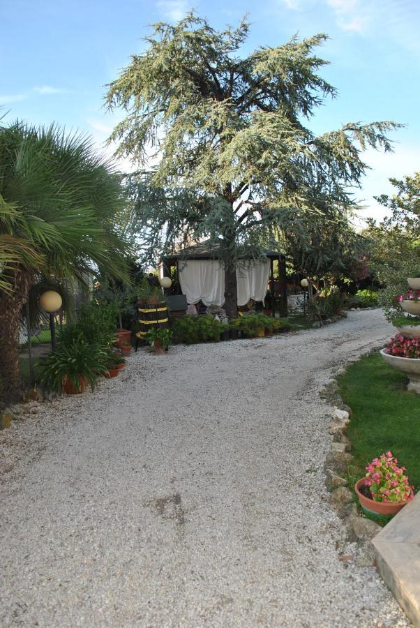 Villino Alle Terme Βιτέρμπο Εξωτερικό φωτογραφία